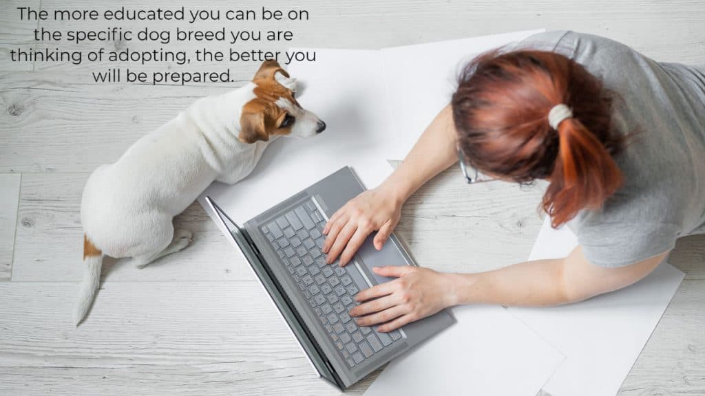 The more educated you can be on the specific dog breed you are thinking of adopting, the better you will be prepared.