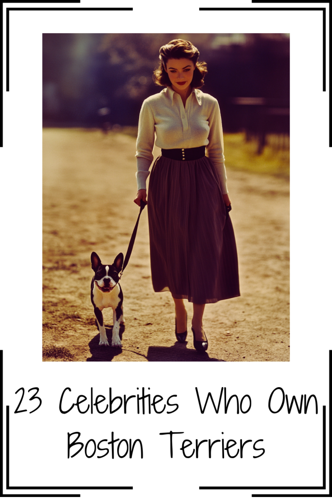 23 Celebrities Who Own Boston Terriers. Old time photo of a woman walking her Boston Terrier.