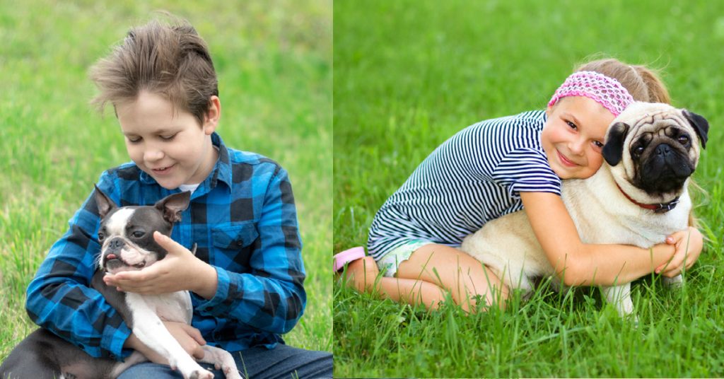 Boston Terriers and Pugs are both popular choices as family pets due to their affectionate and friendly nature.