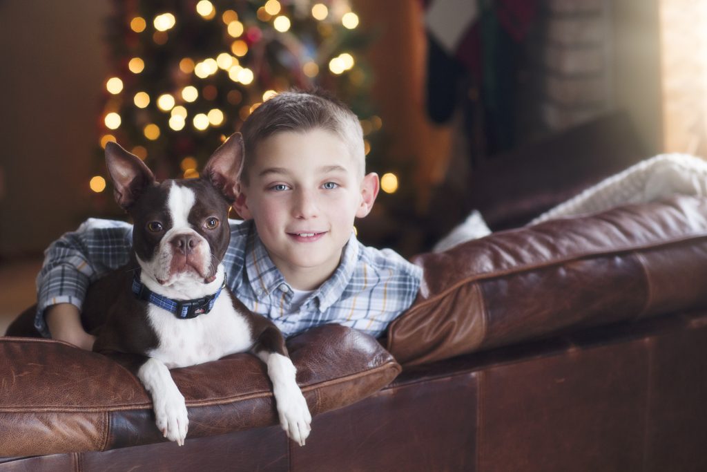 Boston Terriers typically have favorable interactions with children, often establishing strong bonds with the young members of their human families.