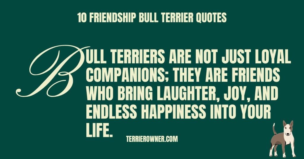 10 Friendship Bull Terrier Quotes