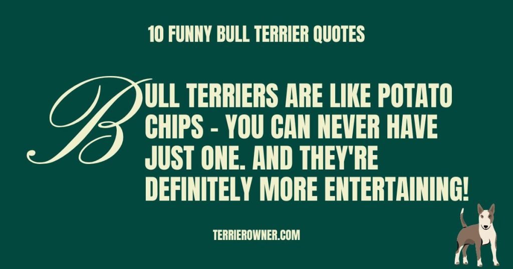 10 Funny Bull Terrier Quotes