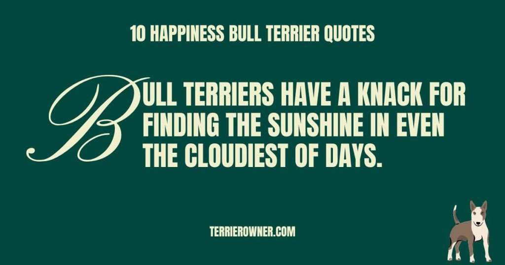10 Happiness Bull Terrier Quotes