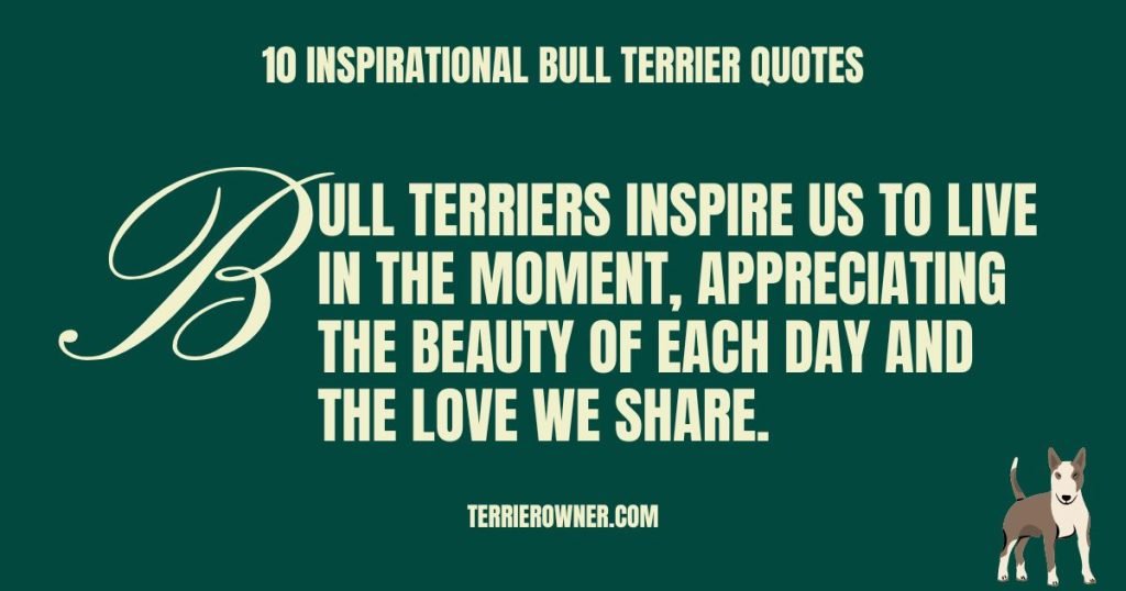 10 Inspirational Bull Terrier Quotes