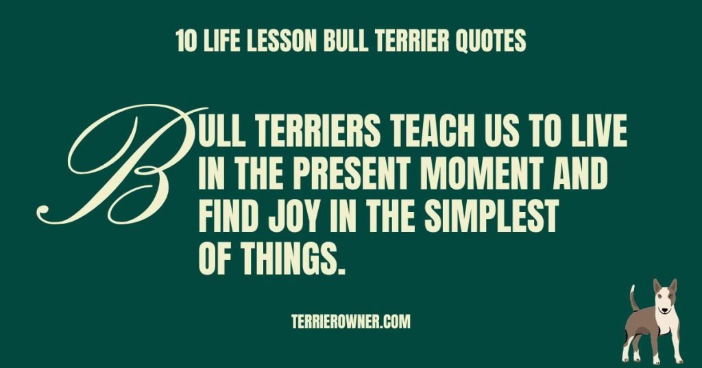 10 Life Lesson Bull Terrier Quotes