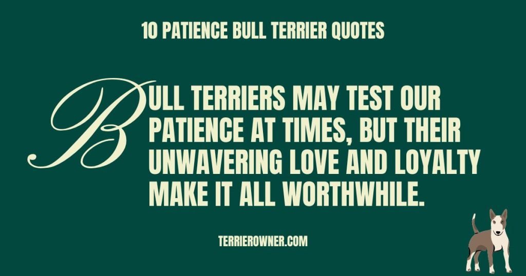 10 Patience Bull Terrier Quotes