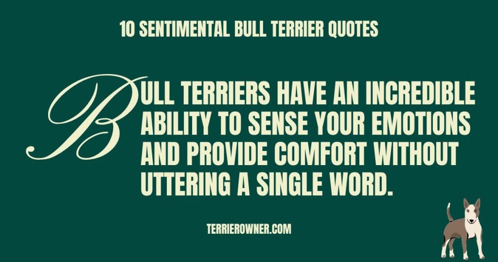10 Sentimental Bull Terrier Quotes