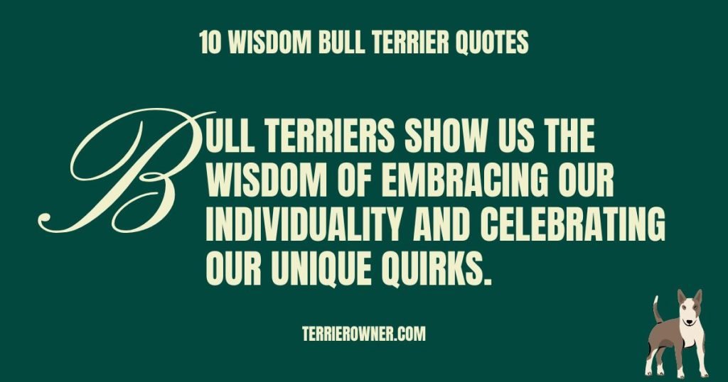 10 Wisdom Bull Terrier Quotes