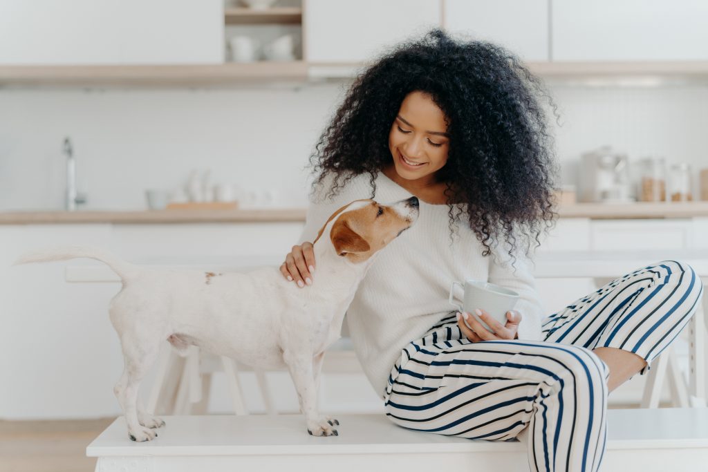 Woman petting her Jack Russell Terrier dog