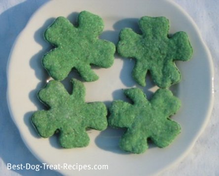 4 green shamrock shaped dog treats on a white plate