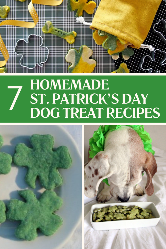 7 Homemade St. Patrick's Day Dog Treat Recipes