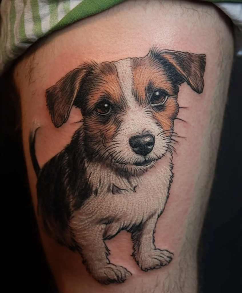 Jack Russell Terrier tattoo