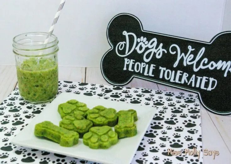 Green homemade St. Patrick's Day dog treats
