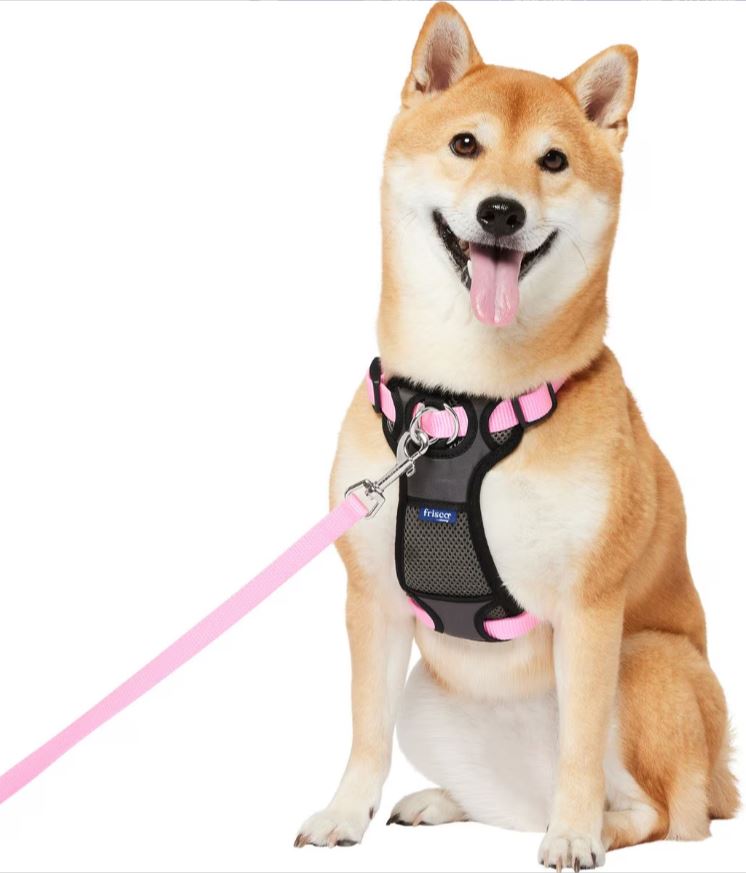 Frisco Padded No Pull Dog Harness